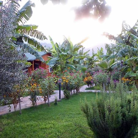 Estelar Bungalow Çıralı Exteriör bild