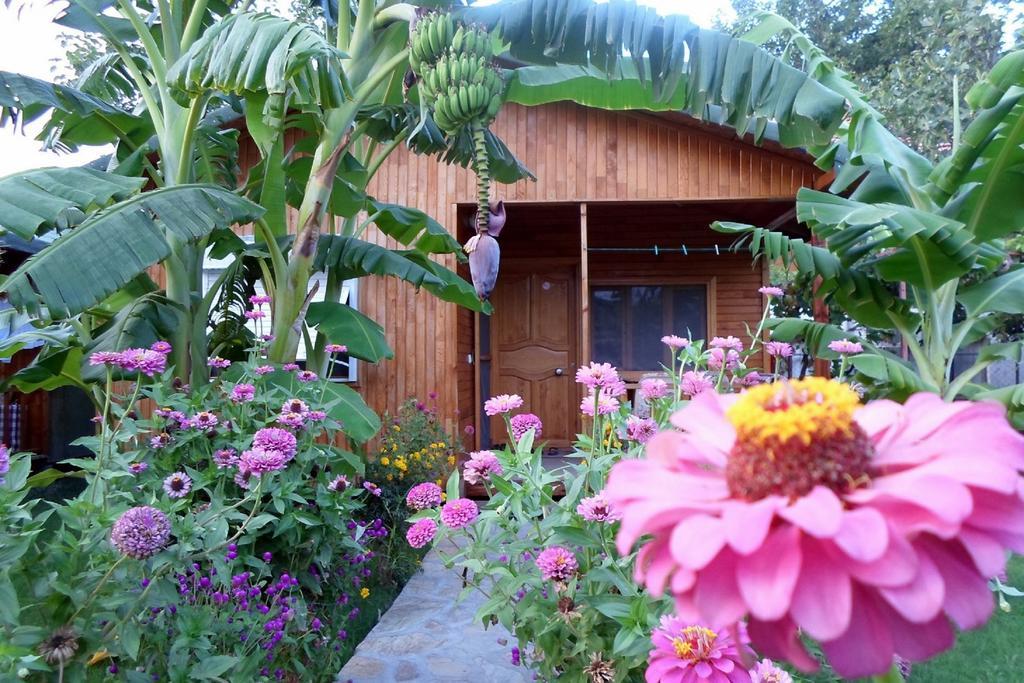 Estelar Bungalow Çıralı Exteriör bild