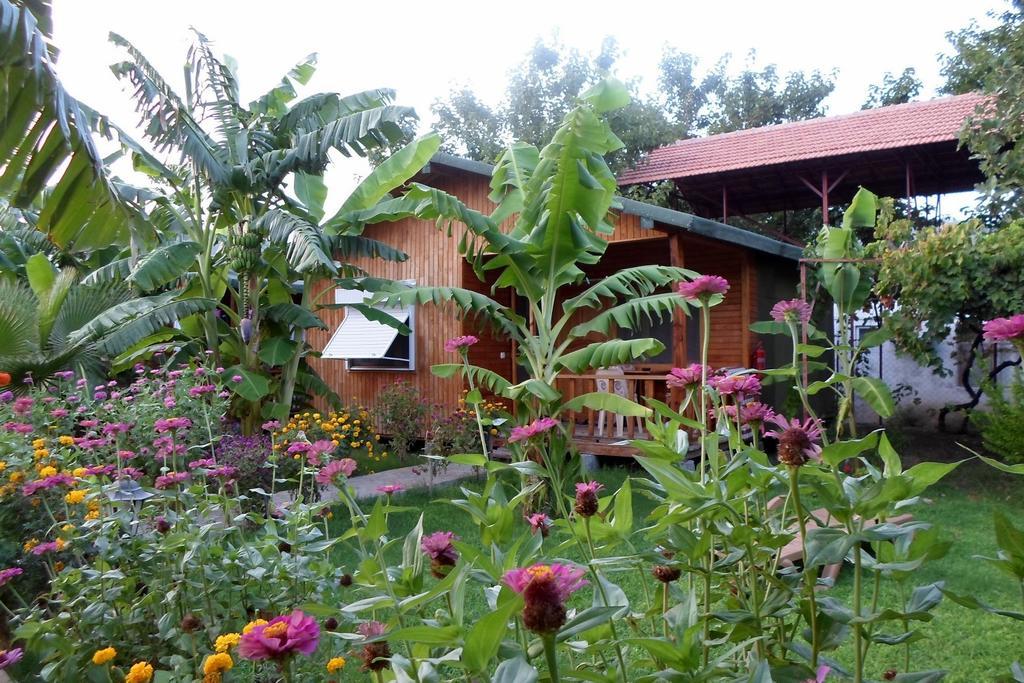 Estelar Bungalow Çıralı Exteriör bild