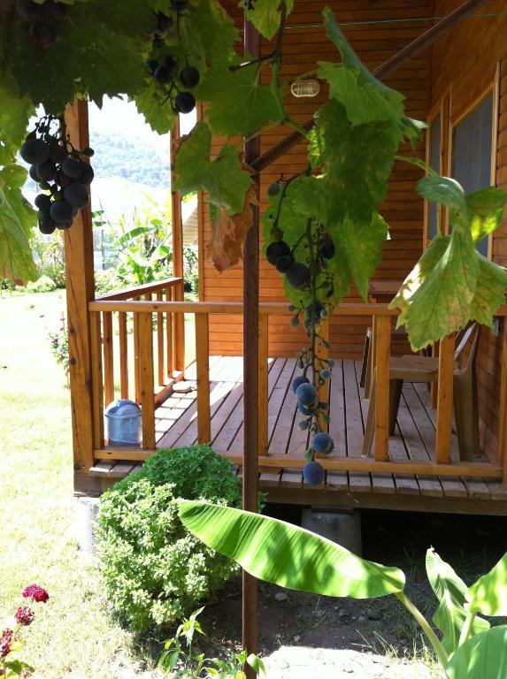Estelar Bungalow Çıralı Rum bild