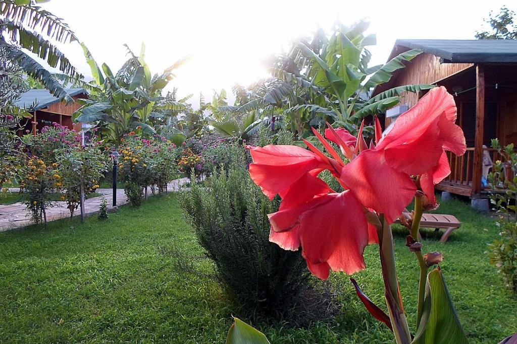 Estelar Bungalow Çıralı Exteriör bild