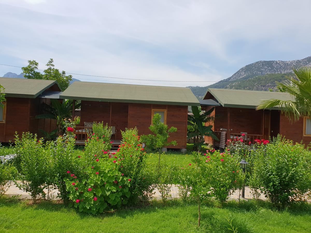 Estelar Bungalow Çıralı Exteriör bild
