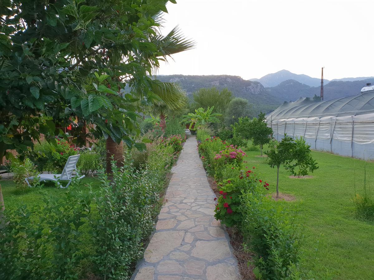 Estelar Bungalow Çıralı Exteriör bild